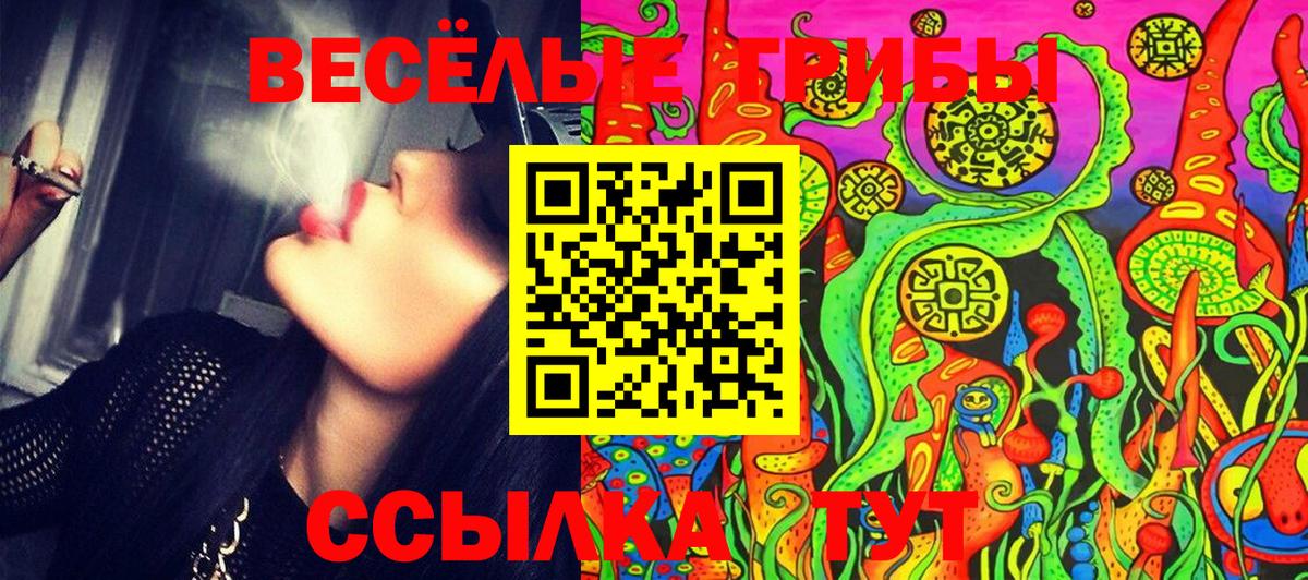 Псилоцибиновые грибы мухоморы  Галлюциногенные грибы Cubensis  Богородск  Вход с VPN 