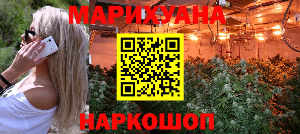 Канабис сатива Богородск